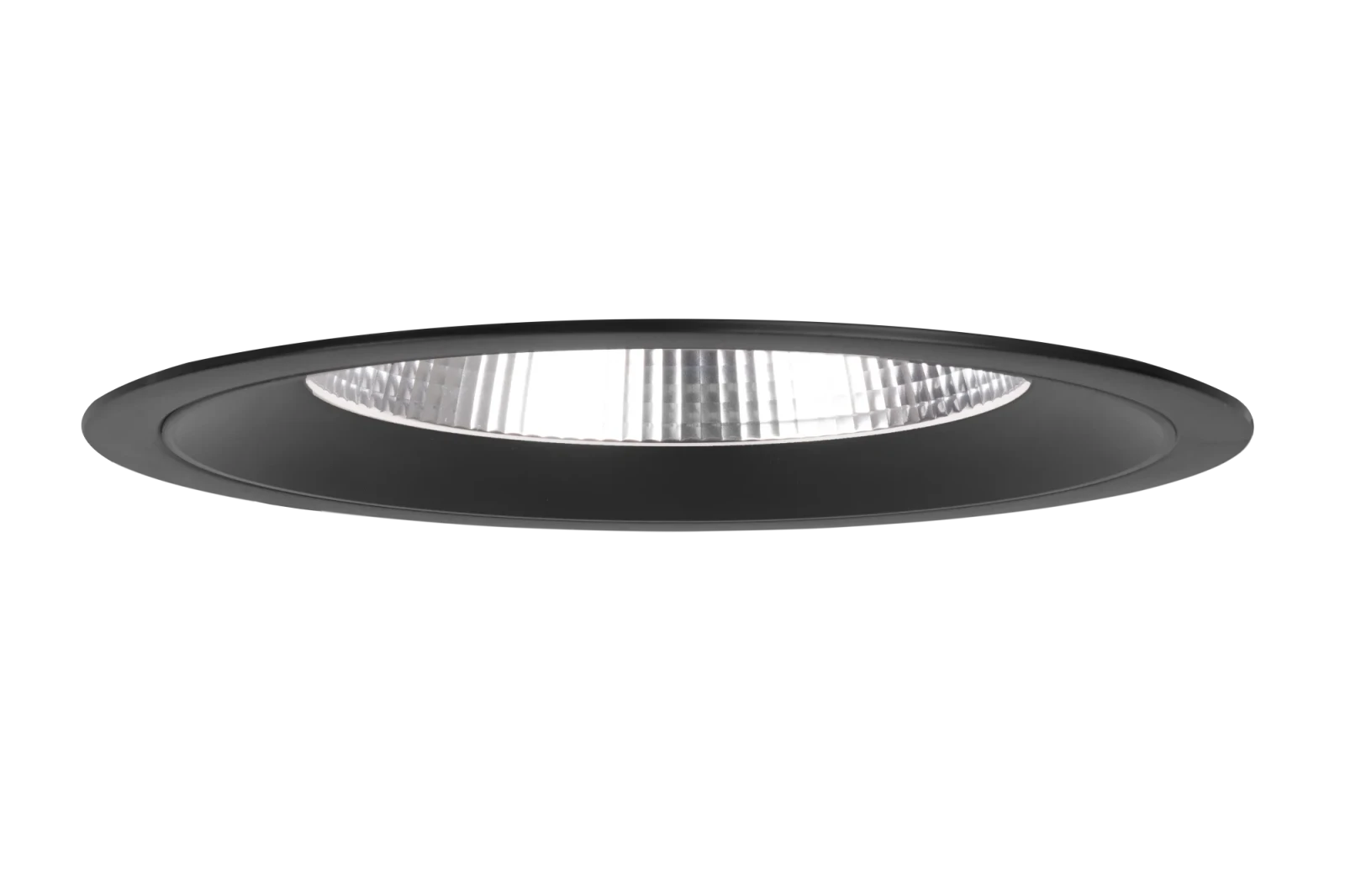 LED Downlight, 19–22–25W, CCT, Rond, IP54, Dimbaar, Zwart