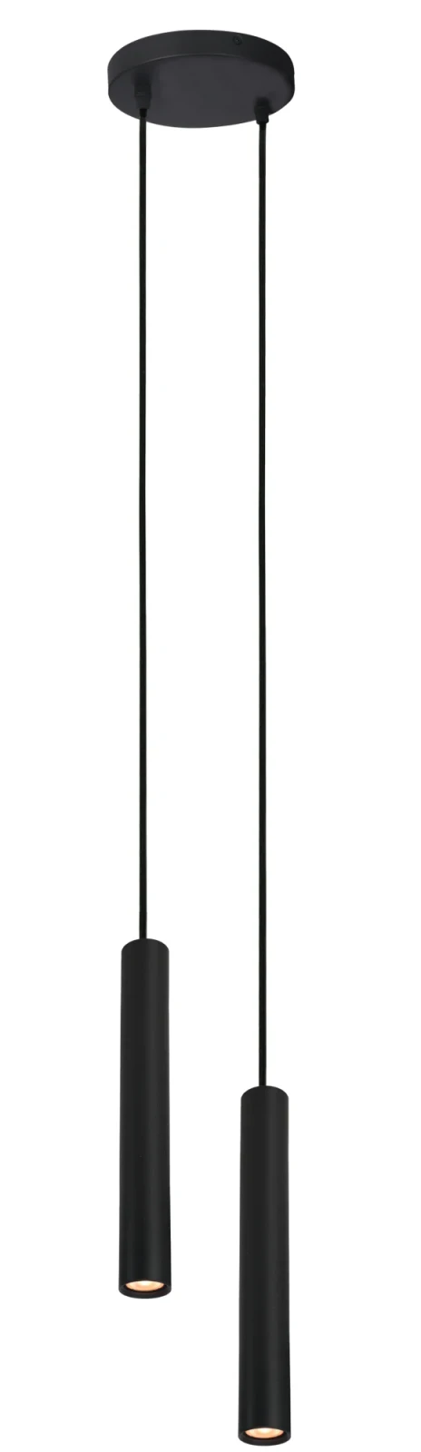 Hanglamp HOLA 2, Zwart, 2-Lichts, Ø170 mm, IP20