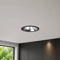 LED Downlight, 19–22–25W, CCT, Rond, IP54, Dimbaar, Zwart