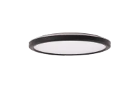 LED wand- en plafondarmatuur, 15W, 3CCT, 1250lm, IP54, 244 mm, Zwart