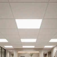 LED Paneel Pro, 36W, 60x60cm