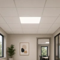 LED Paneel, 32W, 4000K, UGR<19, 60x60cm, Philips Driver