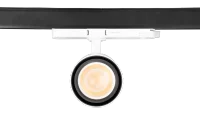 LED Trackspot, 32W, CCT, Wit