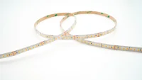 LED Strip, 5m, 24V, 2700K, IP65