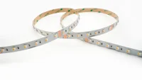 4-in-1 LED Strip, 14.4W/m, RGB+3000K, IP20