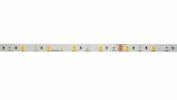 LED Strip, 14.4W/m, 24V, RGB+2700K, IP20