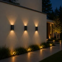 Moderne wandlamp zwart, 2x5W, CCT, Aluminium, IP65, goud binnen