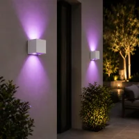 Wandlamp smart wit, 7W, RGBCW, Aluminium, IP65