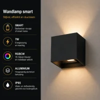 Wandlamp smart zwart, 7W, RGBCW, Aluminium, IP65