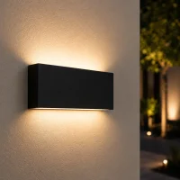 Moderne wandlamp zwart, 2x5W, CCT, Aluminium, IP65