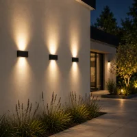Moderne wandlamp zwart, 2x5W, CCT, Aluminium, IP65