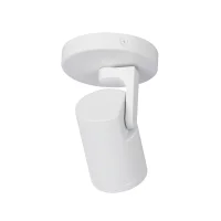 Plafondspot SOLO, Rond, Kantelbaar, GU10, IP20, Wit