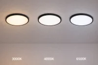 LED Plafondlamp, 22W, 1980 lumen, Ø29 cm, CCT 3000K-4000K-6500K, IP54, Zwart