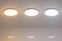 LED Plafondlamp, 36W, Ø40 cm, CCT 3000K-4000K-6500K, IP54, Zwart