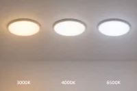 LED Plafondlamp, 48W, Ø50 cm, CCT 3000K-4000K-6500K, IP54, Wit