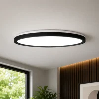 LED Plafondlamp, 48W, Ø50 cm, CCT 3000K-4000K-6500K, IP54, Zwart