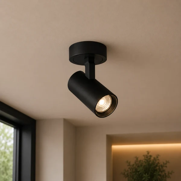LED Opbouwspot, 10W, 2700K Warm Wit, Dimbaar, Zwart